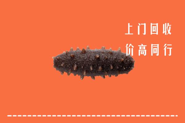 附近收购：凤山县回收海参